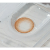 Comfit Brown 13.6mm